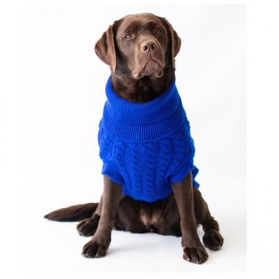 The Rascal Dog Jumper in Blue